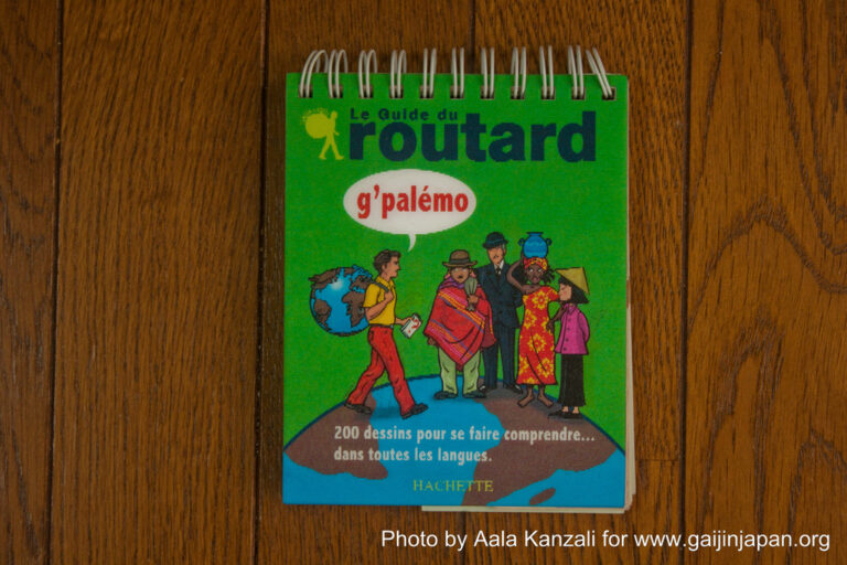 le guide du routard g'palémo, g'palémo, guide du routard, le routard guide