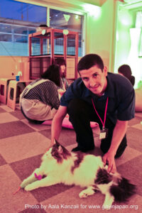 nekorobi cat cafe ikebukuro aala & cat, nekorobi cat cafe ikebukuro aala et un chat