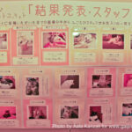 nekorobi cat cafe ikebukuro cats list and photos, nekorobi cat cafe ikebukuro liste et photos de chats