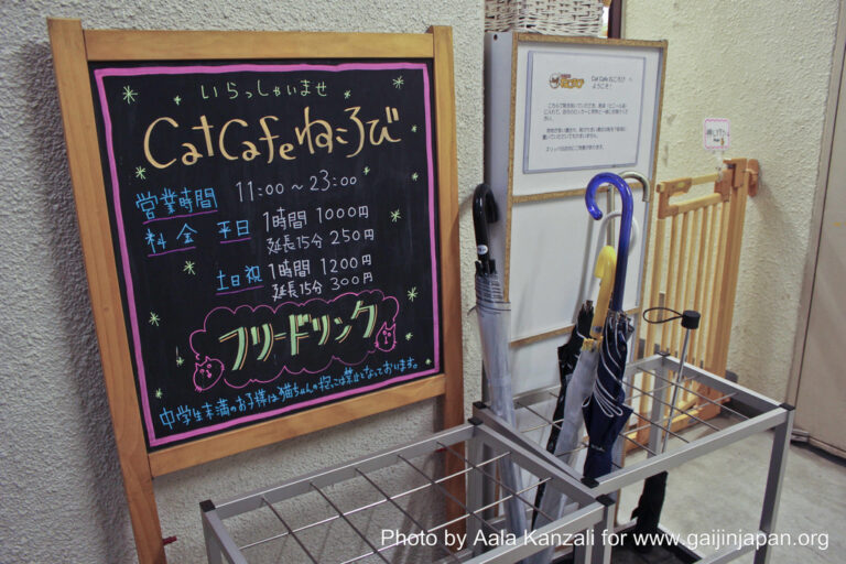 nekorobi cat cafe ikebukuro sign, nekorobi cat café ikebukuro panneau