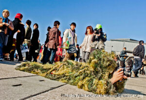 comiket 81, tokyo big sight, photograph, photographe