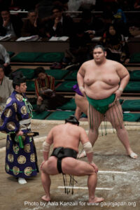 sumo tournament - ryogoku - tokyo - japan - referee & sumo, arbitre