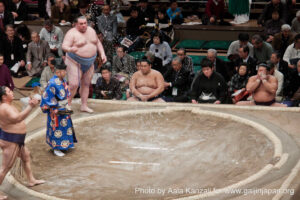 sumo tournament - ryogoku - tokyo - japan - salt, jeté de sel