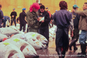 tokyo tsukiji market japan - tuna auction