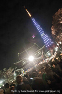 zojoji temple tokyo new year in japan 2012