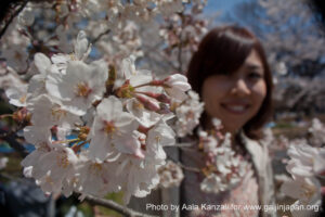 hanami - sakura at Yoyogi PArk Tokyo with Go Go nihon Japan - japanese girl & sakura