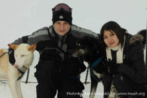 dog sledding Whistler, chien de traineau à Whistler