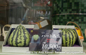 square watermelon, pastèque carrée, heart watermelon, pyramid watermelon, pastèque en coeur, pastèque en pyramide