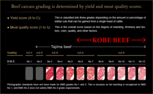 boeuf de kobe grade